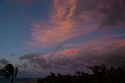 _DSC3944.jpg