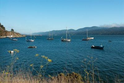 _DSC9761.jpg