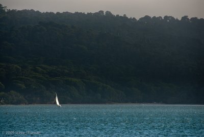 _DSC9765.jpg