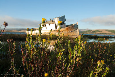 _DSC9785.jpg