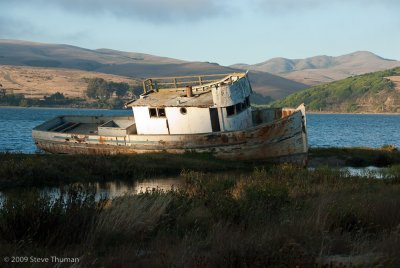 _DSC9798.jpg