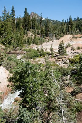 _DSC0679.jpg