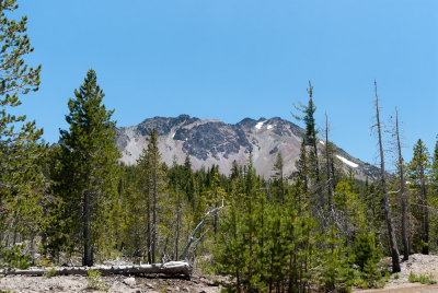 _DSC0826.jpg