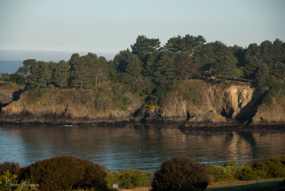 _DSC1846.jpg