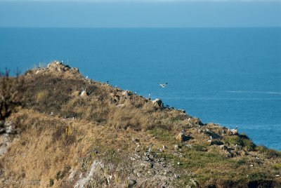 _DSC1862.jpg