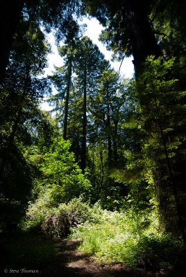 _DSC1749.jpg