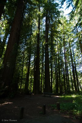 _DSC1750.jpg
