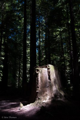 _DSC1755.jpg