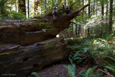 _DSC1763.jpg