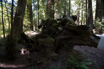 _DSC1769.jpg