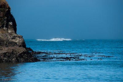 _DSC2043.jpg
