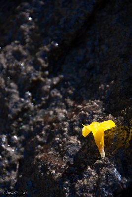 _DSC2049.jpg