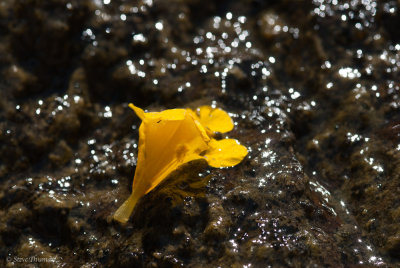 _DSC2112.jpg