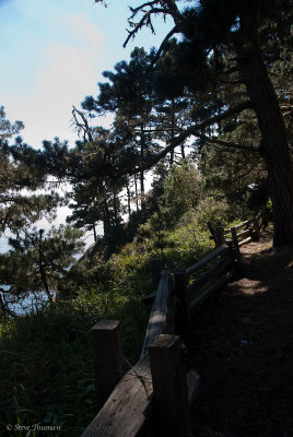 _DSC2160.jpg