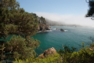 _DSC2162.jpg