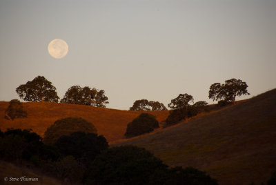 Morning Moon