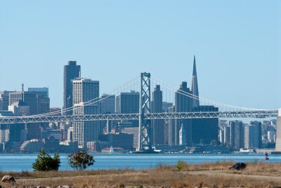 City By The Bay