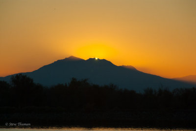 _DSC8548.jpg