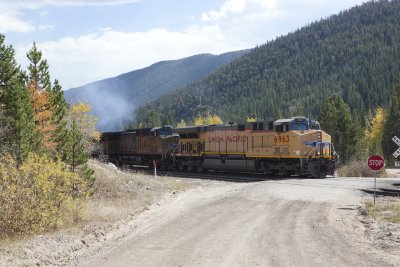 IMG_1598.jpg