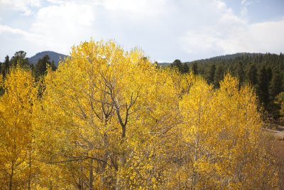 IMG_1622.jpg