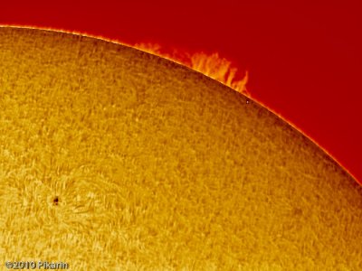 Quiescent Prominence