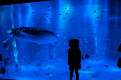 Blue World