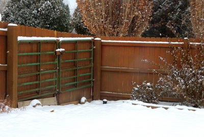 Winter Fence