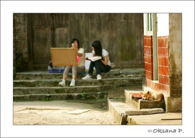 Xingping 6