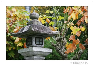 Philisopher's Walk, Kyoto