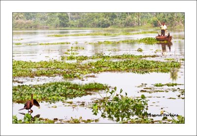 backwaters-1.jpg