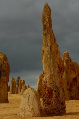 _MG_9840.jpg