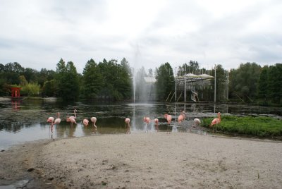 DSC06091.JPG