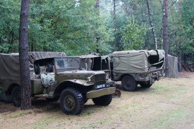 DSC09852.r.JPG