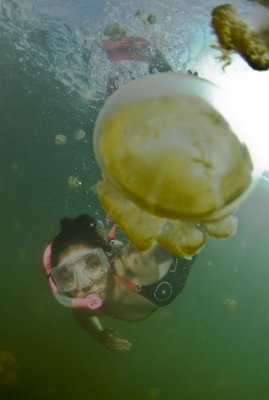 Amanda Snorkeling Jellyfish Lake