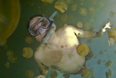 Mike Snorkeling Jellyfish Lake