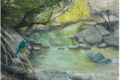 Martin pescatore al fiume.