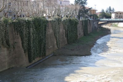 Montelupo F.-topino2.jpg
