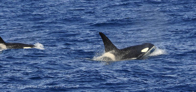 g1/57/566457/3/106125517.G7GIIphs.jpg
