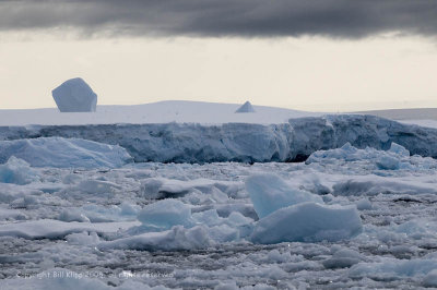 Icebergs, Lamaire Channel   1