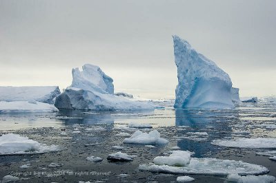 Icebergs,  Lemaire Channel   6