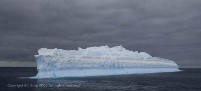 Icebergs,  Paulet  Island  1