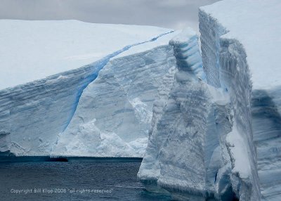 Icebergs,  Paulet  Island  2