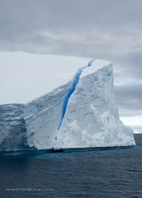 Icebergs,  Paulet Island  3