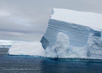 Icebergs,  Paulet Island  4