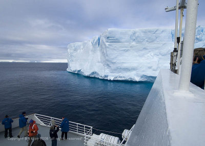Icebergs,  Paulet Island  5