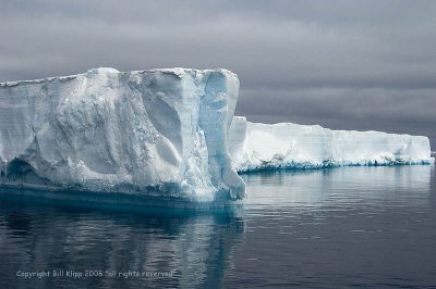 Icebergs,  Paulet Island  8