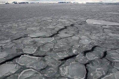 Pancake Ice,  Antarctic Sound  6