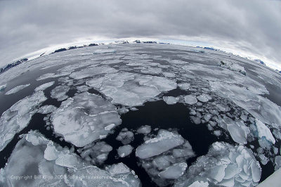 Pancake Ice,  Devil Island  9