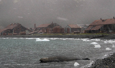 Stromness Whaling Station  2