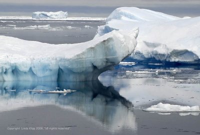 Ice Berg ,Paulet Island  2